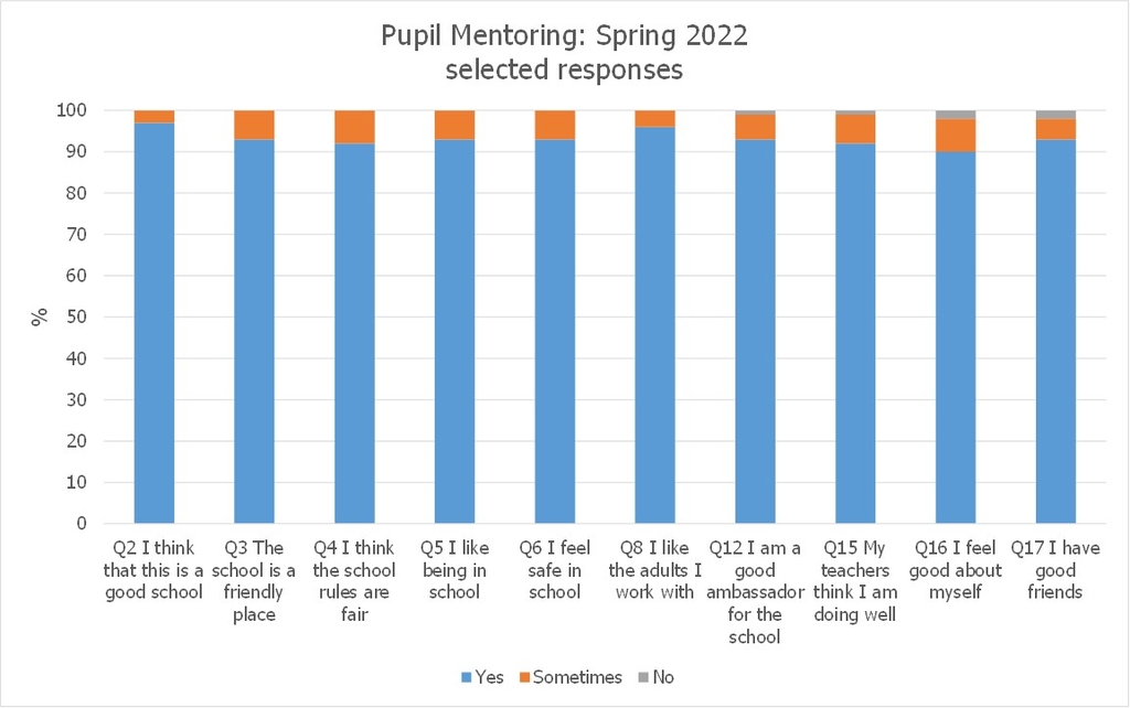 Pupil Mentoring Spring 2022