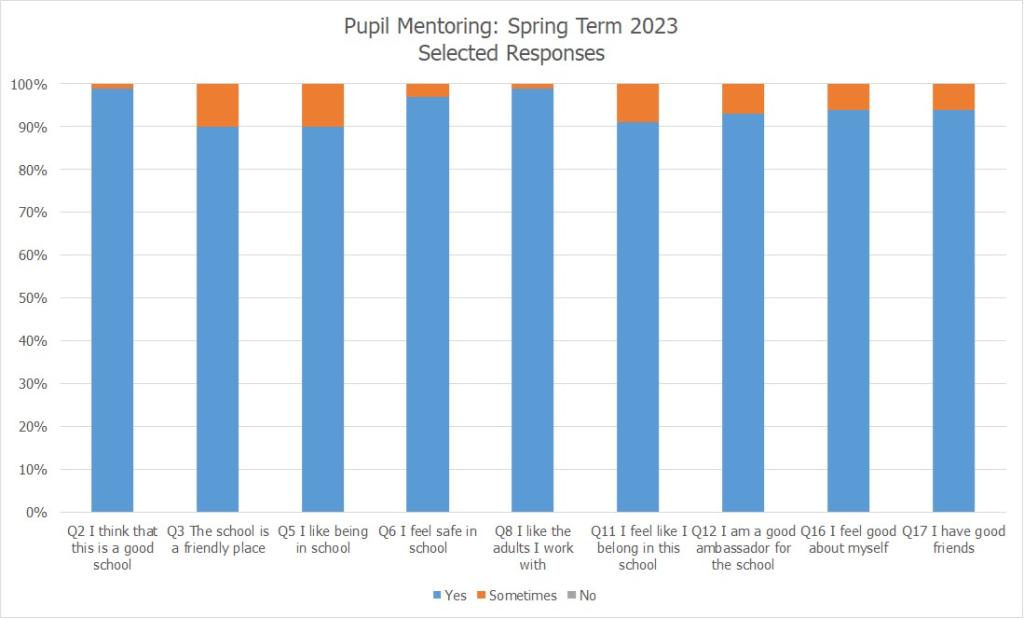 Pupil Mentoring selected spring 23