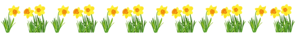 daffodil clipart