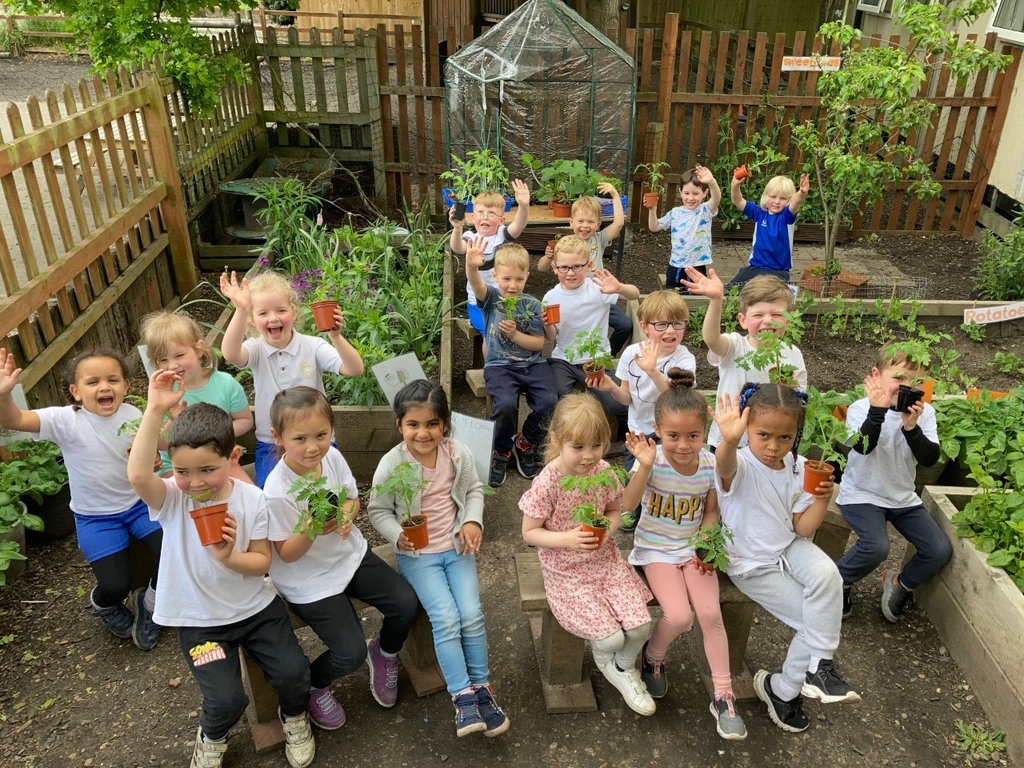 EYFS plants